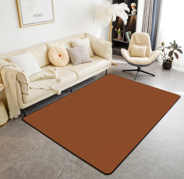 Brown Area Rug 3'x5',Modern Simple Style Non Slip Carpet for Kids Girls Adults,Amber Solid Color Decor Rug for Living Room Bedroom Playroom Backyard